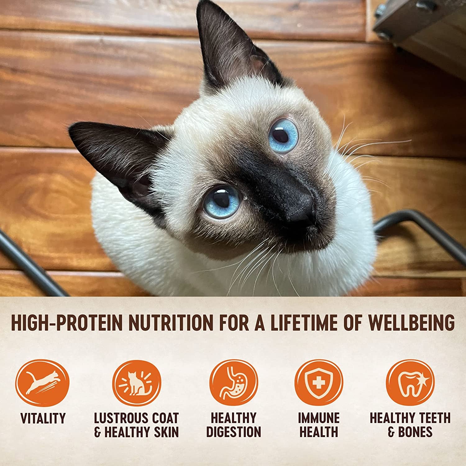 Wellness CORE Signature Selects Grain Free Wet Cat Food, Flaked Real Meat in Gravy Sauce, Natural, High Protein Cat Food, Healthy, Adult